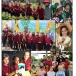 Term 4 Week 8 Newsletter