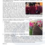 Newsletter Term 3 Week 7