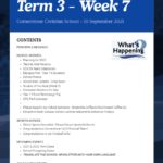 Newsletter Term 3 Week 7