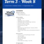 Newsletter Term 3 Week 8