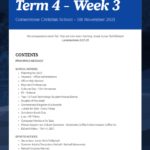 Newsletter Term 4 Week 3