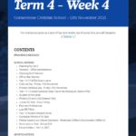 Newsletter Term 4 Week 4