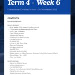 Newsletter Term 4 Week 6