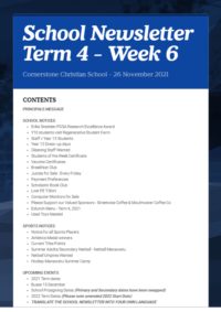Newsletter Term 4 Week 6