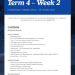 Newsletter Term 4 Week 2