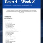 Newsletter Term 4 Week 8