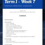 Newsletter Term 1 Week 7