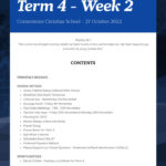 Newsletter Term 4 Week 2