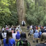 Year 6 Camp at Rangi Woods