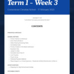 Newsletter – Term 1 Week 3