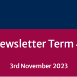 School Newsletter – Term 4 Week 4