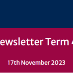 School Newsletter – Term 4 Week 6