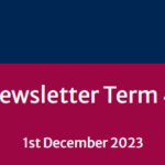 School Newsletter – Term 4 Week 8